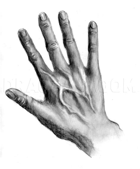 draw realistic hands draw hands step  step drawing guide