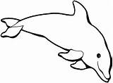 Dolphin Golfinho Qdb Saltando sketch template