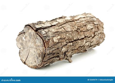 log royalty  stock images image