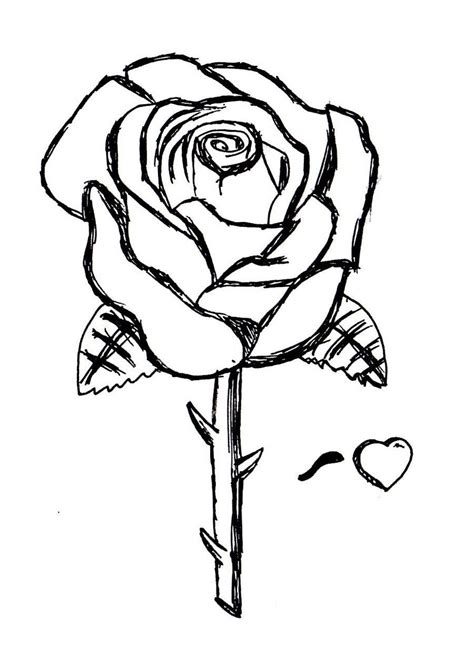 printable roses coloring pages  kids  images rose