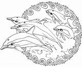 Mandala Mandalas Coloring Animals Pages Dolphins Color Animal Frees Print Dolphin Coloriage Dauphin Drawing Stress Anti Printable Life Colorier Artistic sketch template