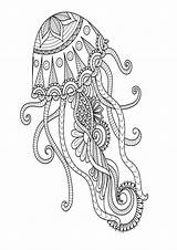 Jellyfish Mindfulness Colouring sketch template