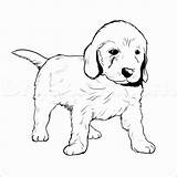 Golden Retriever Coloring Puppy Pages Printable Color Getcolorings Pup sketch template