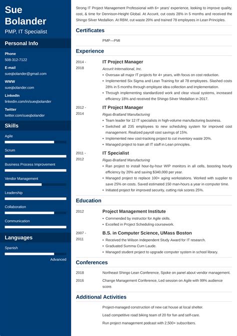project manager cv sample examples  writing tips