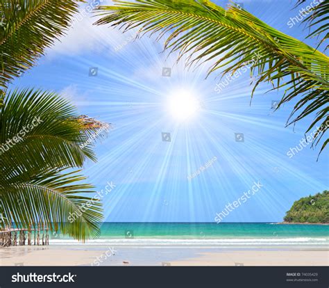 tropical beach with beautiful palm trees on the sand and sun in blue sky summer nature scene