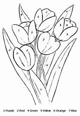 Tulips Allkidsnetwork Fiore Numere Planse Colorat Dupa Coloringhome Roses Colorear Malvorlage Coloreaza Umbrella Coloriages Desene Trafic Mancare Colors Kategorien sketch template