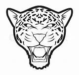 Jaguar Logo Coloring Pages Vector Face Easy Animal Drawings Head Cheetah Clipart Cartoon Tattoo Panther Cat Drawn sketch template