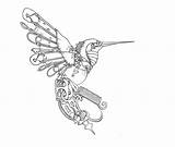 Hummingbird Humming Steam Hummingbirds Tattoos sketch template