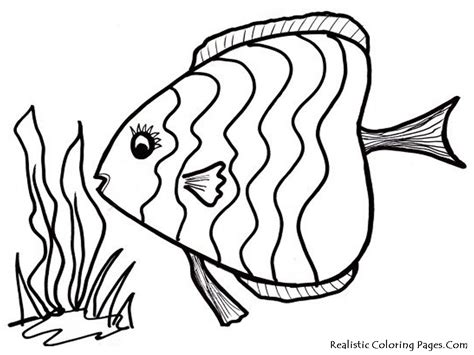ocean fish coloring pages realistic coloring pages