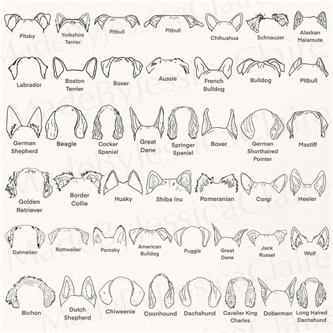 dog breed ears svg hand drawn dog ears outline bundle etsy