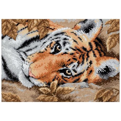 beguiling tiger counted cross stitch kit   count cross stitch