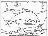 Dolphin Coloring Pages Print Getdrawings sketch template
