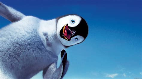 adorable cartoon penguin high definition high resolution hd