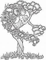 Coloring Pages Book Tree Color Trees Dover Publications Printables Calm Tranquil Keep Adults Life sketch template