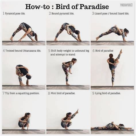 tree pose yoga bird  paradise yoga ashtanga yoga bird  paradise
