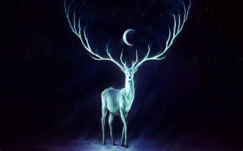 hd moonlight stag wallpaper download free 76859
