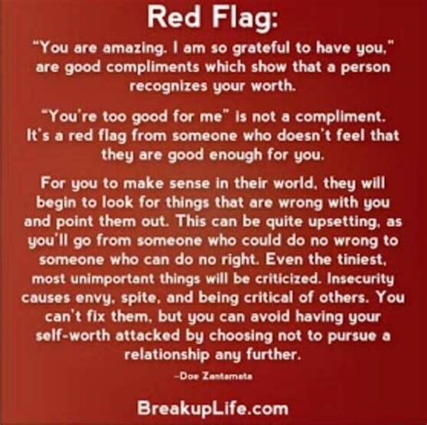 115 Best Dating Red Flags Images On Pinterest Healthy
