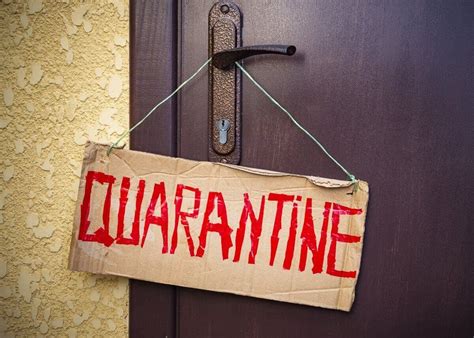 spend  quarantine time   lockdown  enhanced