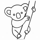 Koala Colorir Koalas Webstockreview Outlines Cartoon Dessins Clipartmag Pinta Ultracoloringpages sketch template