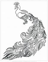 Coloring Peacock Pages Easy Printable Adult Adults Drawing Fun Color Realistic Colouring Feather Print Kids Printables Cool Peasy Getcolorings Getdrawings sketch template