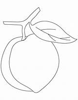 Peach Coloring Pages Kids Color Fruit Printable Bestcoloringpages Month August Colouring Fruits Para Board Templates Applique National Party Visit Popular sketch template