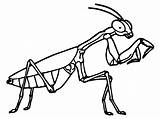 Grasshopper Clipart Cliparts Coloring Library Insect Pages sketch template