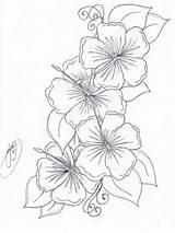 Flower Hawaiian Hibiscus Coloring Pages Flowers Tattoo Tattoos Tropical Uploaded User sketch template