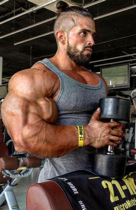 muscle morphs  hardtrainer  images biceps bodybuilders men muscle