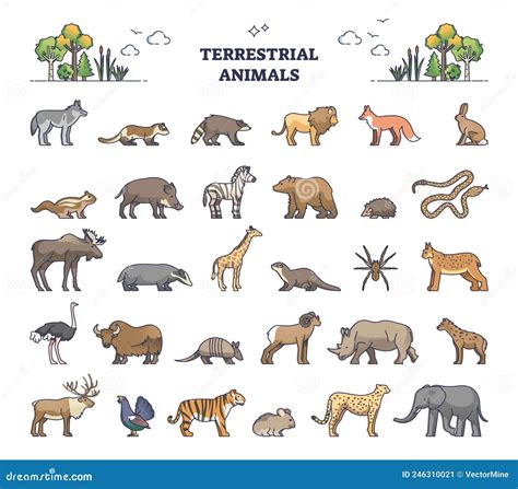 terrestrial animals group  living species  land outline collection