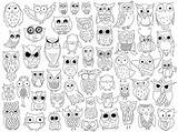 Owl Doodle Drawing Owls Doodles Drawings Coloring Pages Make Google Bored Different When So sketch template