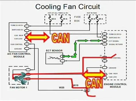 engine cooling fan wiring diagram circuit diagram