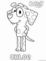 Bluey Coloring Pages Chloe Printable Coloring4free Film Tv Dalmatian Coco Kids Snickers Related Blueys Posts Description Chilli sketch template