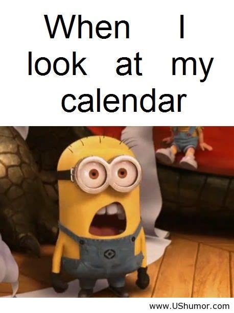 minions saying us humor funny pictures quotes image 851623 by imfunny on
