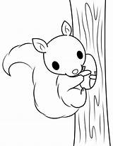 Squirrel Eekhoorn Climbing Klimt Leukekleurplaten Eekhoorns Coloringpage Eikel sketch template