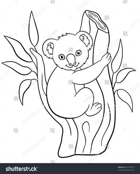 coloring pages  cute baby koala sits   tree branch