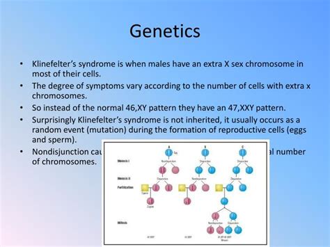 Ppt Klinefelters Syndrome Powerpoint Presentation Id