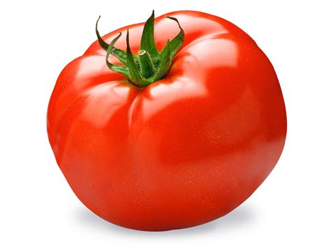 manual del cultivo de tomate en el huerto