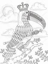 Toucan Roi Adultes Bestcoloringpagesforkids Kchungtw Coloringbay sketch template