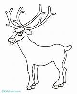 Elk Codes Insertion sketch template