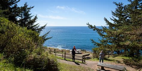 locations  spotting wildlife   oregon coast outdoor project