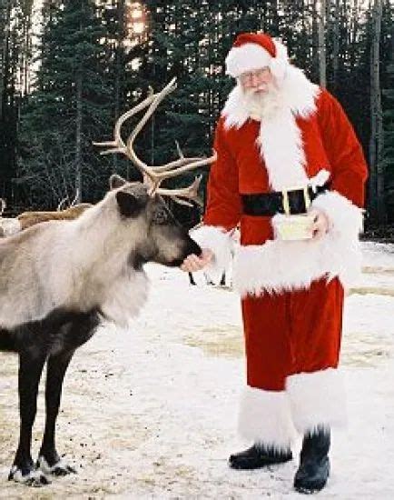 Free 24 7 Live Feed Of Santa S Reindeer Santa And Reindeer Santa And