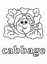 Coloring Cabbage Pages Patch Kids Vegetable Getcolorings Getdrawings Logo sketch template