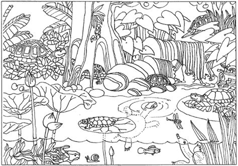 turtles  gif  jungle coloring pages zoo animal