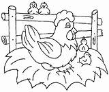 Chicken Coloring Pages Printable Chickens Fried Colouring Sheets Color Print Preschool Hen Kids Animals Farm Cute Crafts Animal Sheet Drawing sketch template