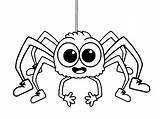 Spinne Ausmalbild Malvorlagentv sketch template