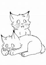 Lynx Gato Bebé sketch template