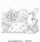 Rabbit Hiding Outline Coloring Burrow Clip Illustration Royalty Clipart Bannykh Alex Pages Template sketch template