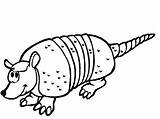 Armadillo sketch template