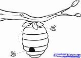 Bee Beehive Draw Drawing Coloring Pages Bees Honey Hive Easy Bumble Outline House Step Choose Board sketch template
