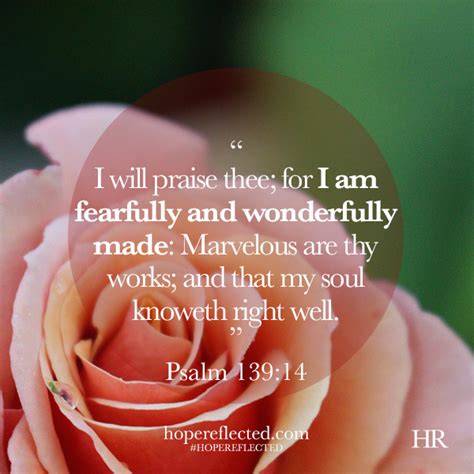 encouragement fearfully and wonderfully made psalm 139 14 hope
